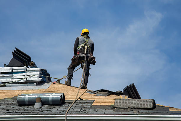 Professional Roofing technician working in Sequoia National Park, CA